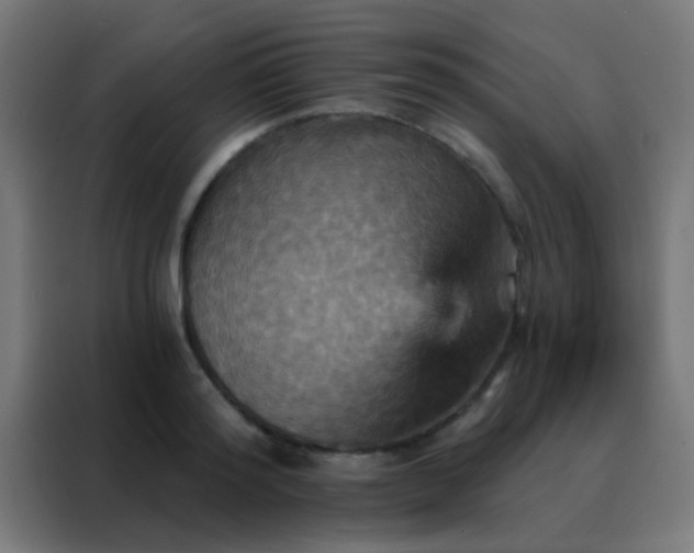 X0000088200796200705221721