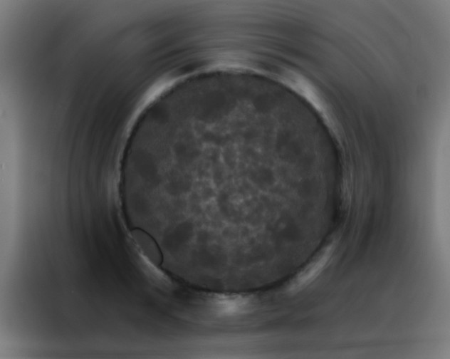 X0000088200799200705221721