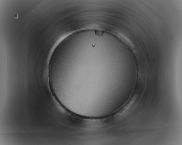 X0000088200800200705221721