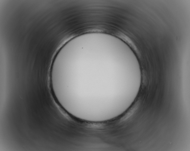 X0000088200802200705221721
