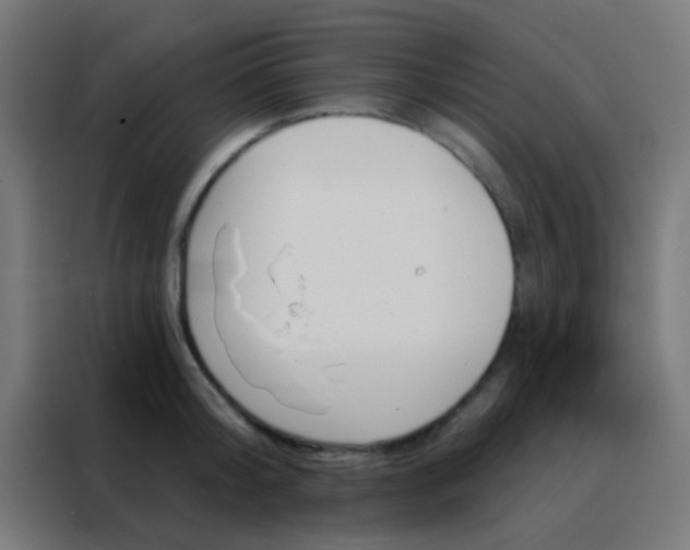 X0000088200804200705221721
