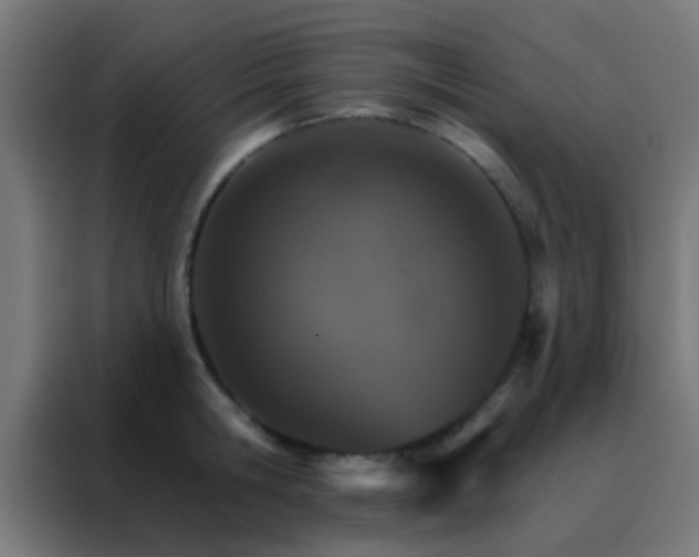 X0000088200806200705221721