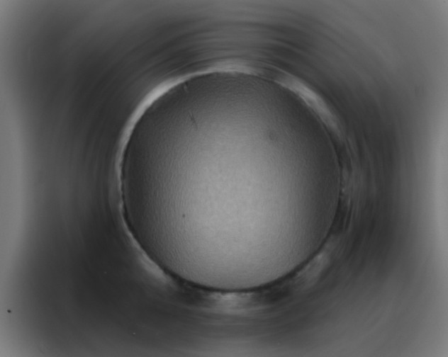 X0000088200808200705221721