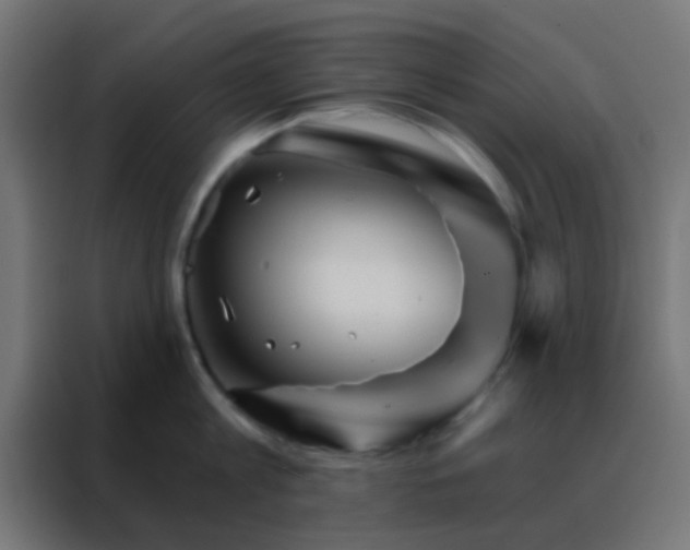 X0000088200813200705221721