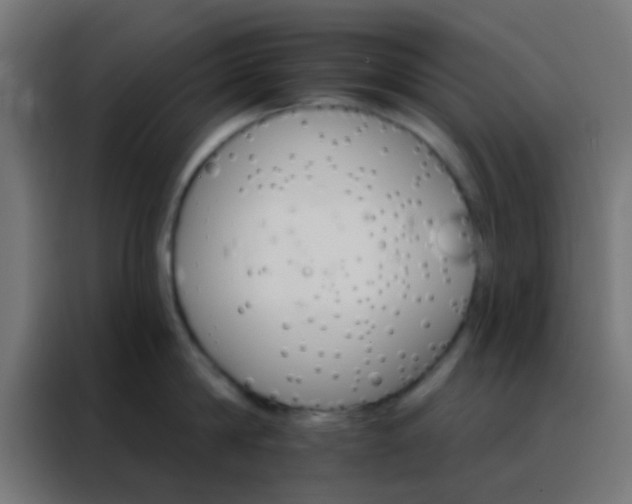 X0000088200814200705221721