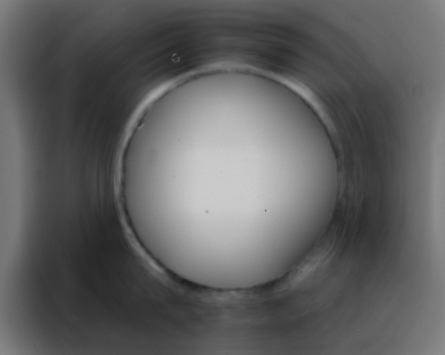 X0000088200815200705221721
