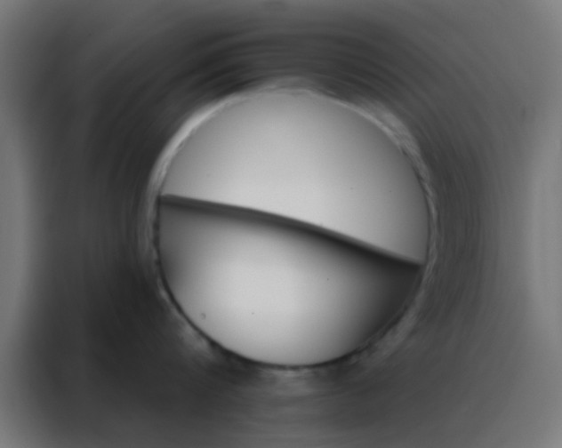 X0000088200816200705221721