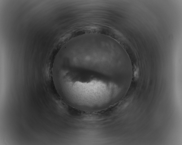 X0000088200819200705221721