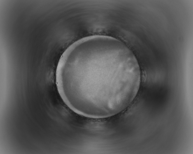 X0000088200820200705221721