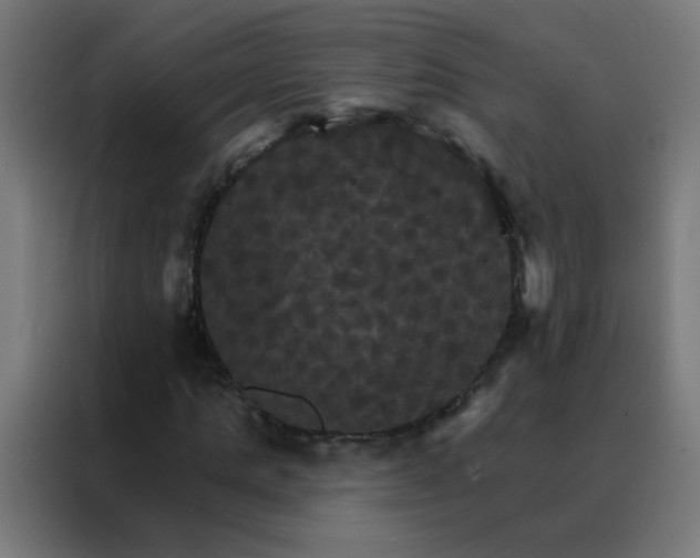 X0000088200821200705221721
