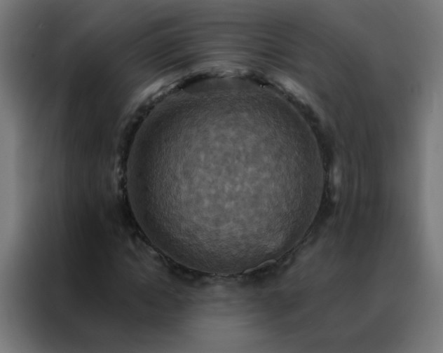 X0000088200822200705221721