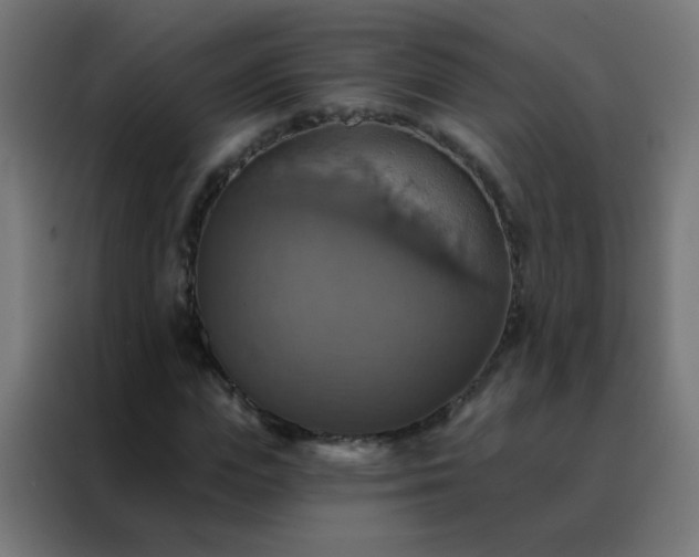 X0000088200823200705221721