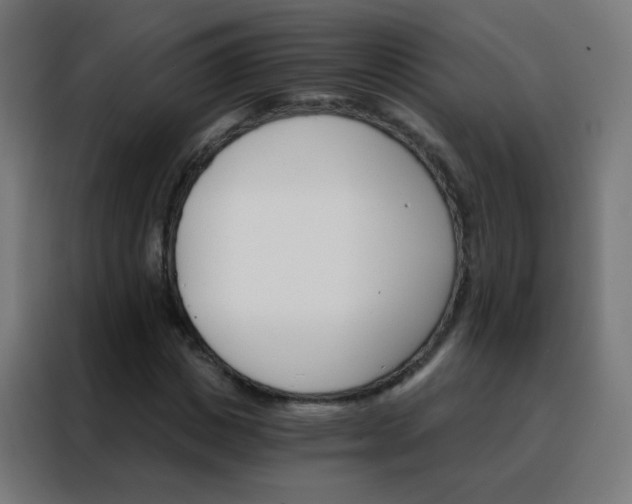 X0000088200825200705221721