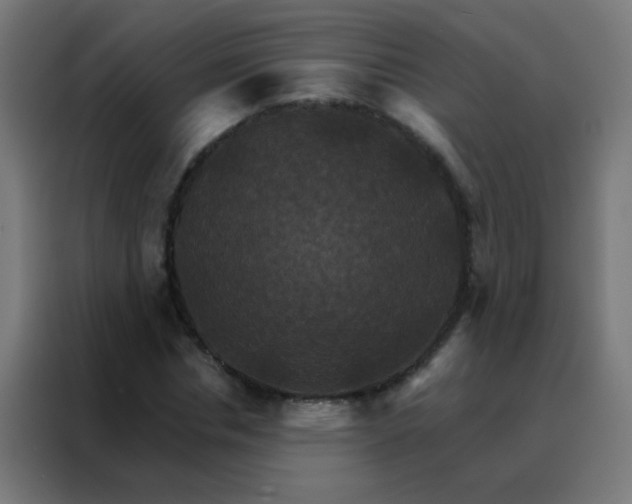 X0000088200826200705221721