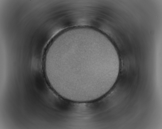 X0000088200828200705221721
