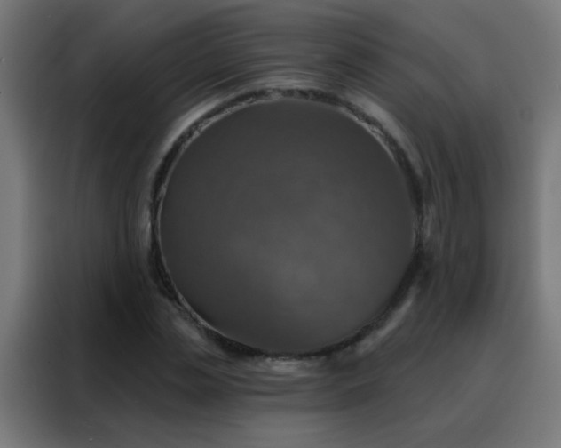 X0000088200829200705221721