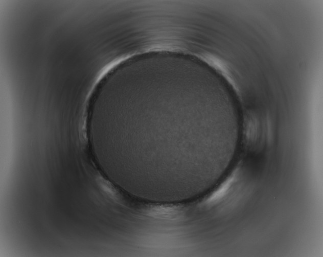 X0000088200830200705221721