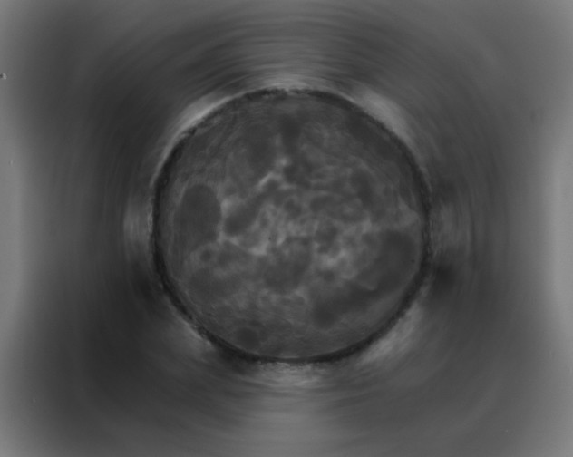 X0000088200831200705221721