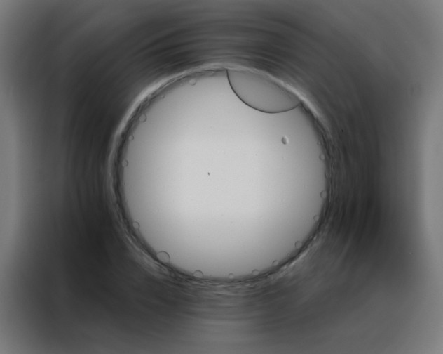 X0000088200832200705221721