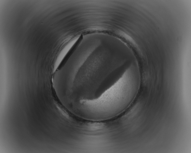 X0000088200833200705221721