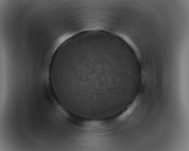 X0000088200834200705221721