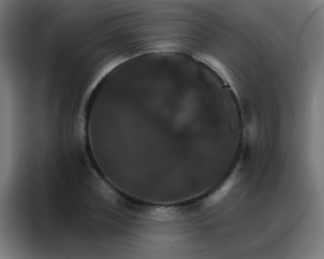 X0000088200835200705221721