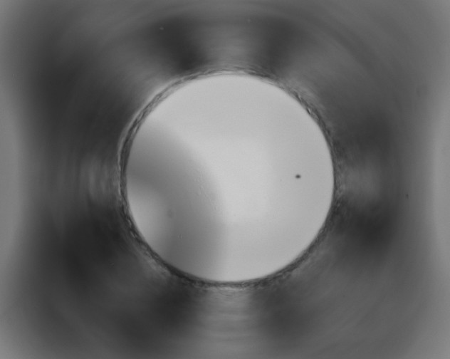 X0000088200836200705221721