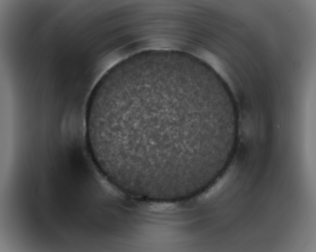 X0000088200837200705221721