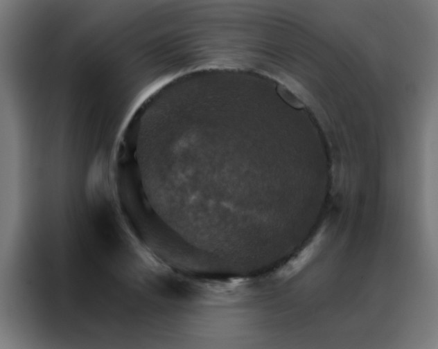 X0000088200838200705221721
