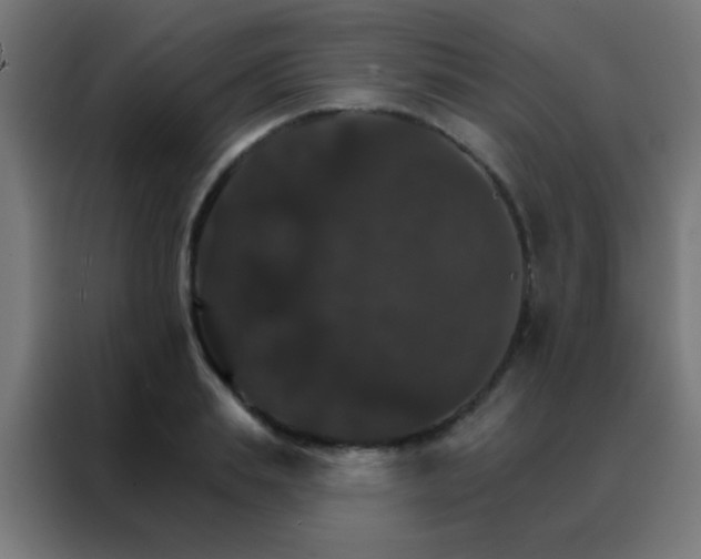 X0000088200839200705221721