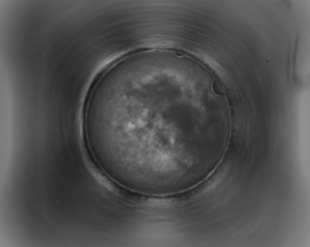 X0000088200840200705221721