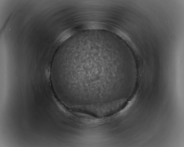 X0000088200841200705221721