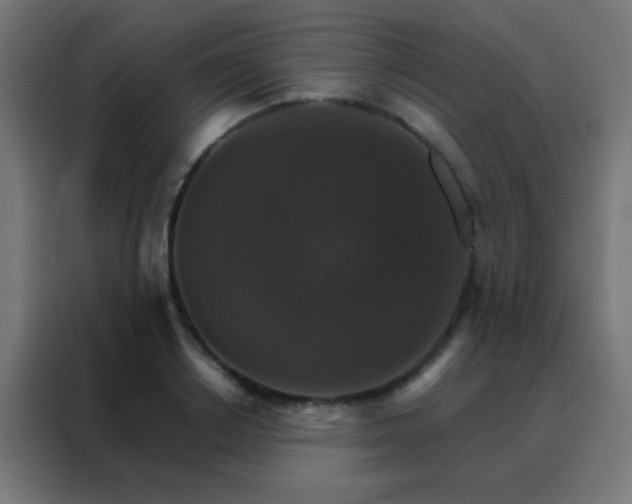 X0000088200842200705221721
