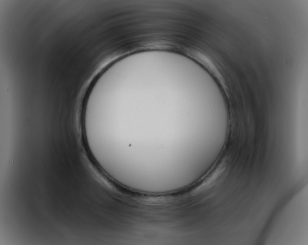 X0000088200843200705221721