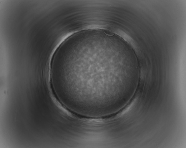 X0000088200844200705221721