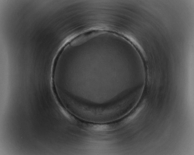 X0000088200845200705221721