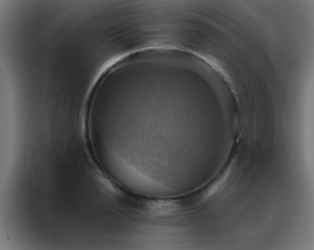 X0000088200846200705221721