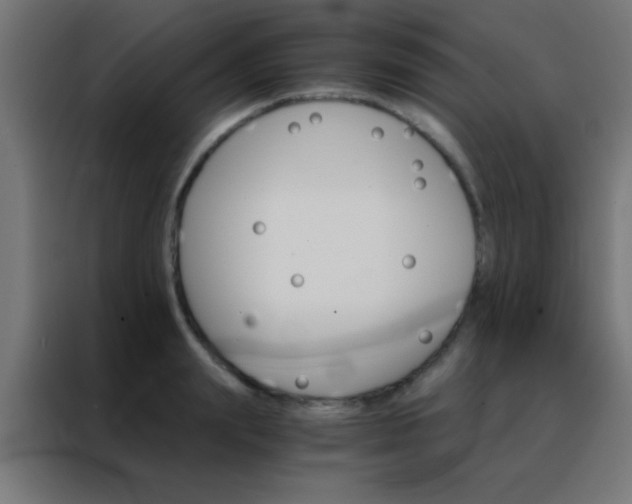 X0000088200847200705221721