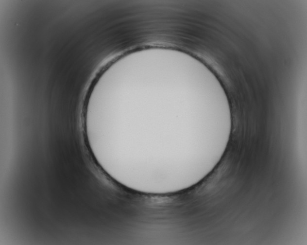 X0000088200848200705221721