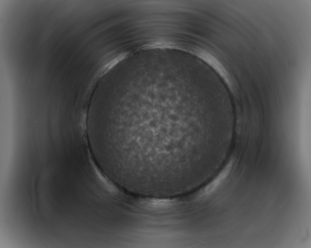 X0000088200849200705221721