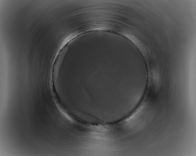 X0000088200850200705221721