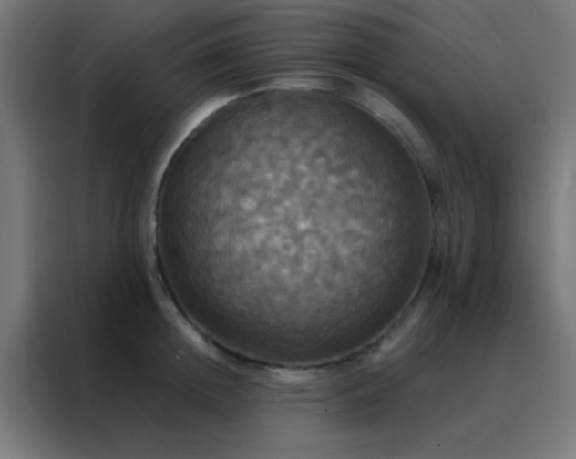 X0000088200852200705221721
