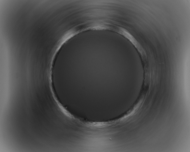 X0000088200853200705221721