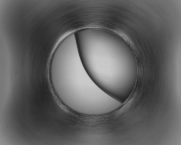 X0000088200854200705221721