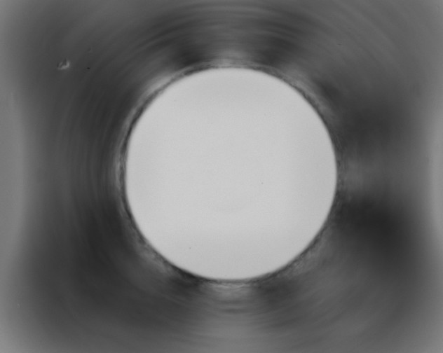 X0000088200856200705221721