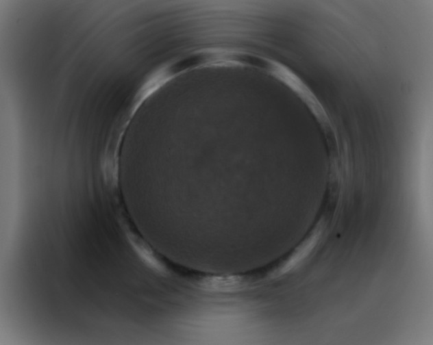 X0000088200858200705221721