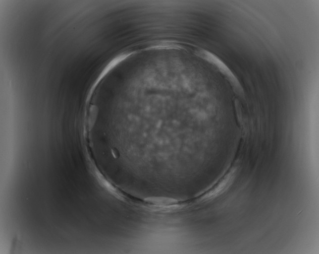 X0000088200860200705221721