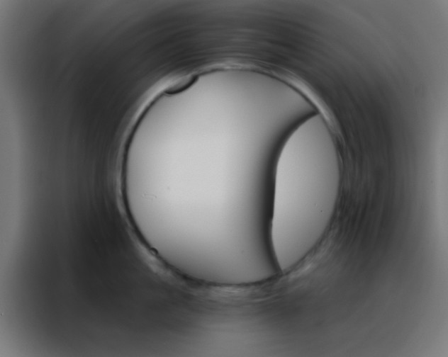 X0000088200861200705221721