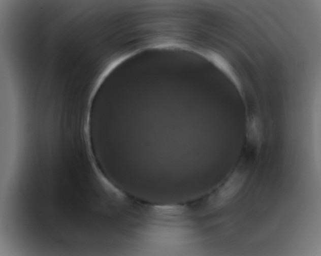 X0000088200863200705221721