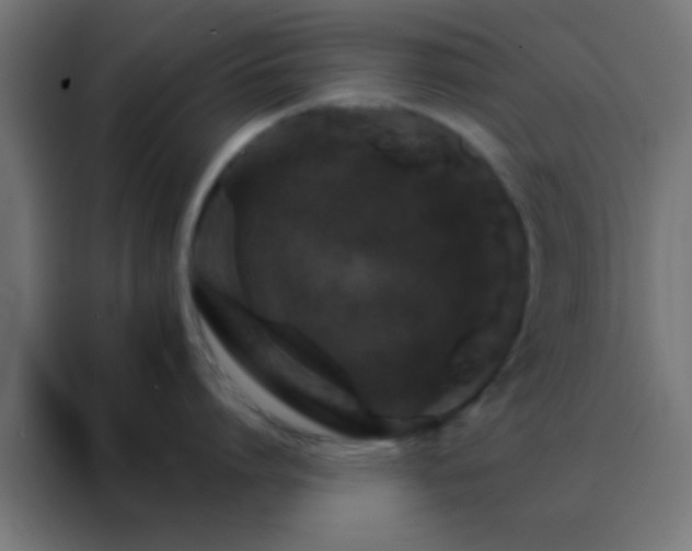 X0000088200864200705221721